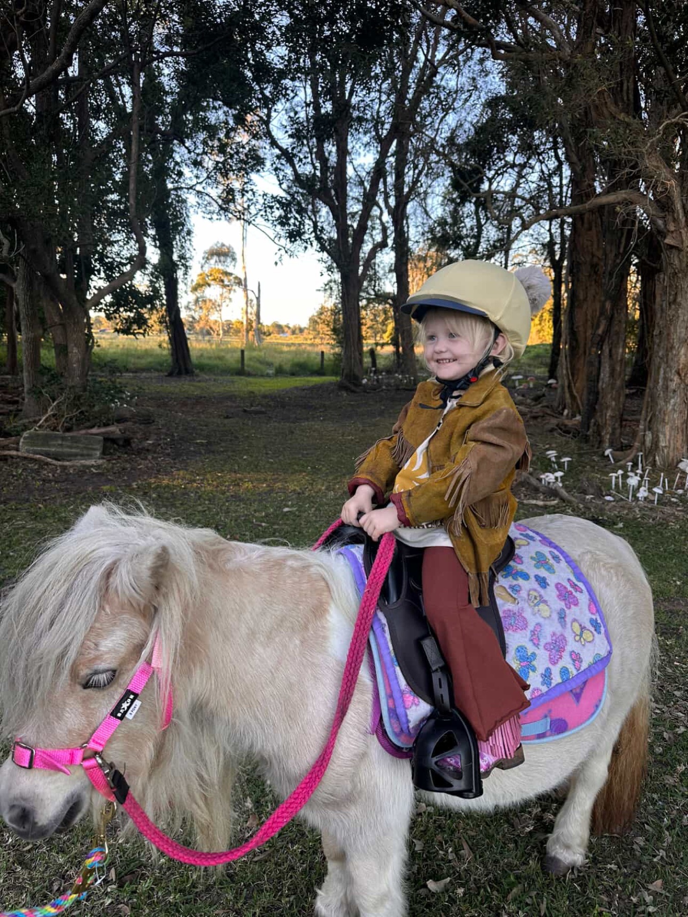 A young girl enjoying a gentle pony ride at Little Oaks in Chinderah